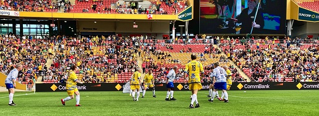 将成为未来 将成为未来