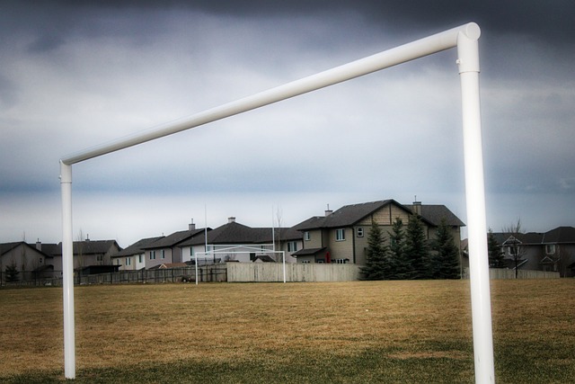 到了提升的 到了提升的