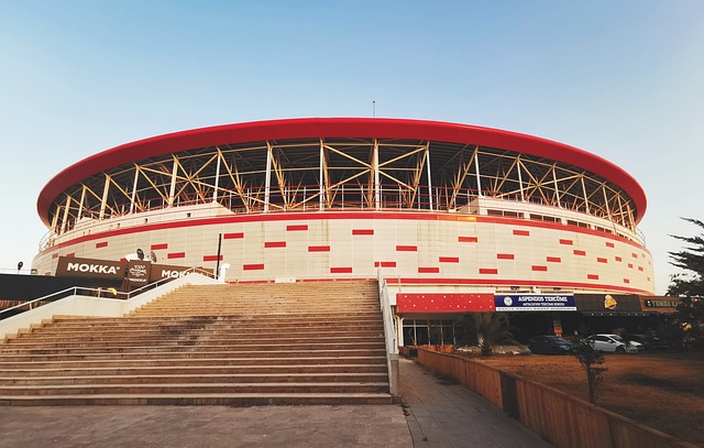 这种合同也 这种合同也