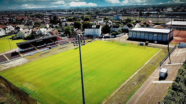 时有发生 时有发生