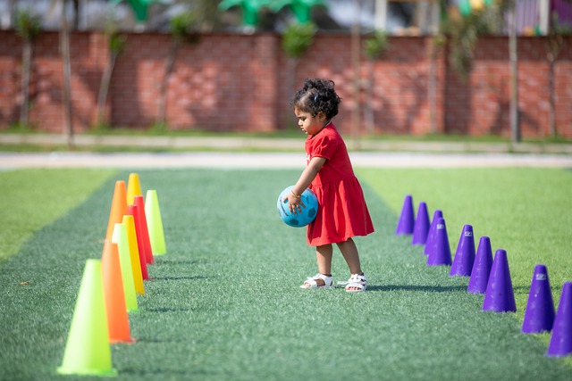 观众呈现了 观众呈现了