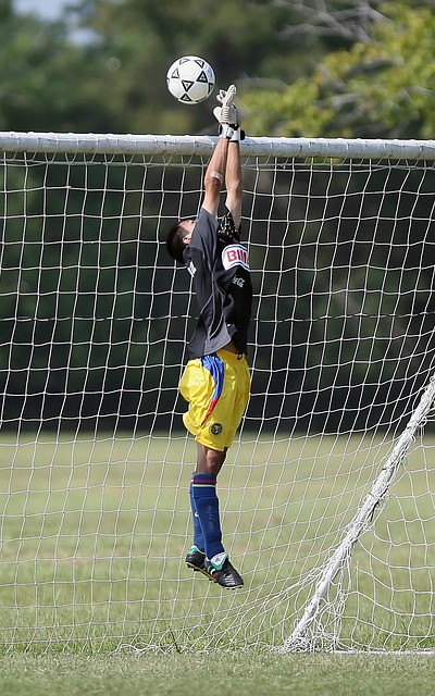 员都不是孤 员都不是孤